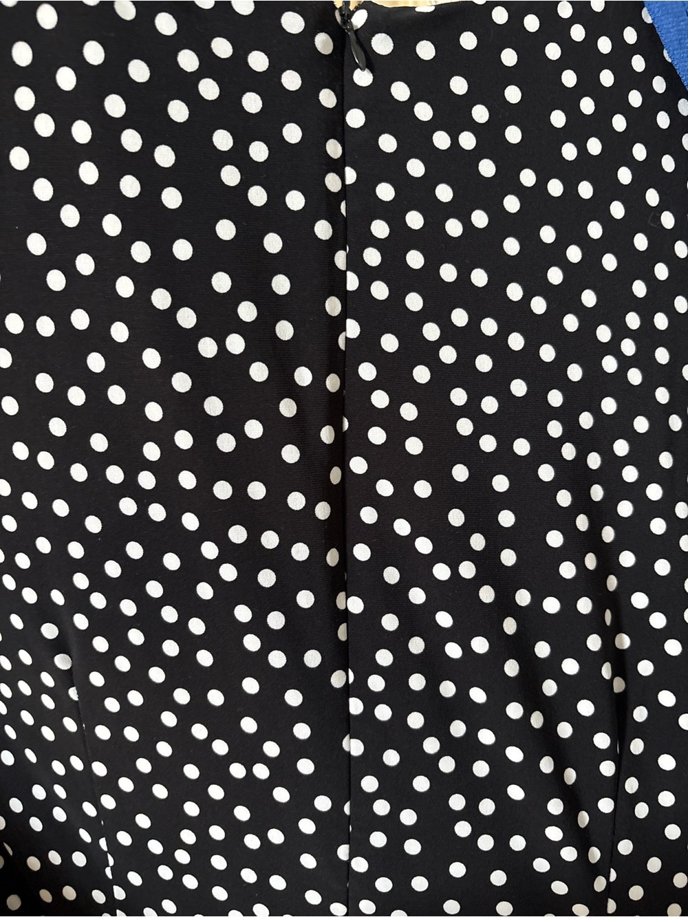 Anne Klein Black and White Polka Dot A-Line Skirt